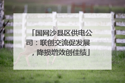 国网沙县区供电公司：联创交流促发展，降损增效创佳绩