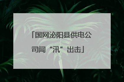 国网泌阳县供电公司闻“汛”出击