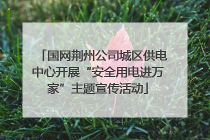 国网荆州公司城区供电中心开展“安全用电进万家”主题宣传活动