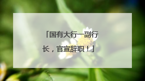 国有大行一副行长，官宣辞职！
