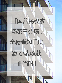 国营民权农场第三分场：金穗卷起千层浪 小麦收获正当时