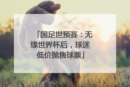 国足世预赛：无缘世界杯后，球迷低价抛售球票