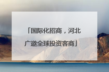 国际化招商，河北广邀全球投资客商