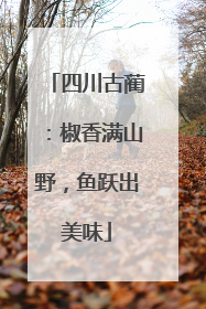 四川古蔺：椒香满山野，鱼跃出美味