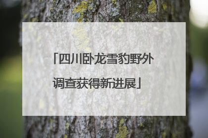 四川卧龙雪豹野外调查获得新进展