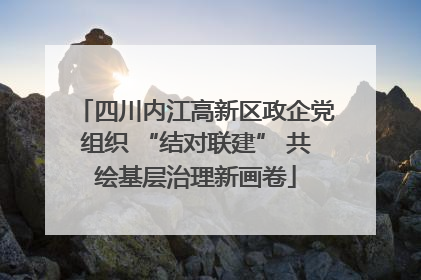 四川内江高新区政企党组织 “结对联建” 共绘基层治理新画卷