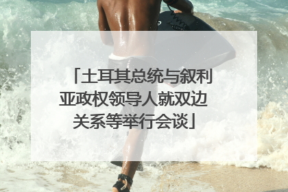 土耳其总统与叙利亚政权领导人就双边关系等举行会谈