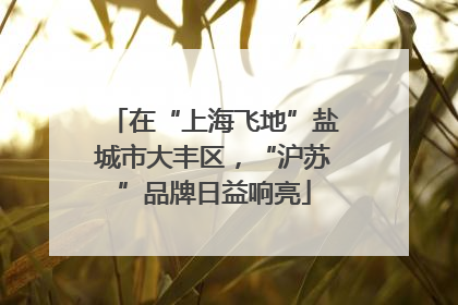 在“上海飞地”盐城市大丰区，“沪苏”品牌日益响亮