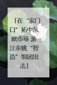 在“家门口”拓中东欧市场 浙江余姚“智造”组团出击