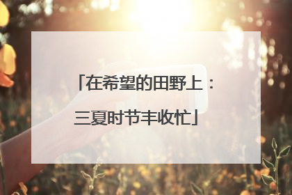 在希望的田野上：三夏时节丰收忙