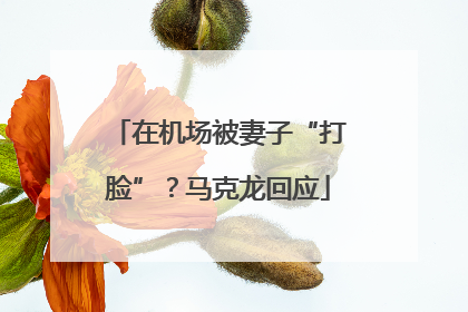 在机场被妻子“打脸”？马克龙回应