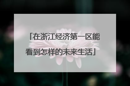 在浙江经济第一区能看到怎样的未来生活