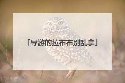 导游的拉布布别乱拿