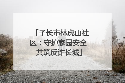 子长市林虎山社区：守护家园安全 共筑反诈长城