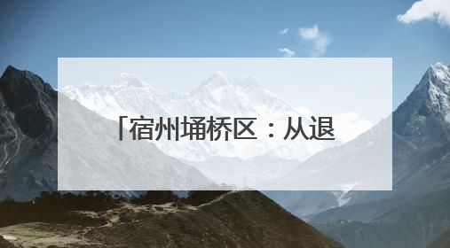 宿州埇桥区：从退休老人到 “新农人” 桑葚园开启乡村振兴新篇章