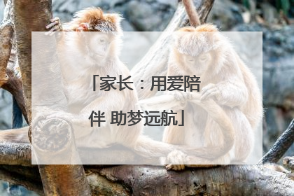 家长：用爱陪伴 助梦远航