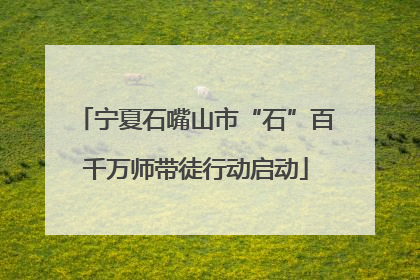 宁夏石嘴山市“石”百千万师带徒行动启动