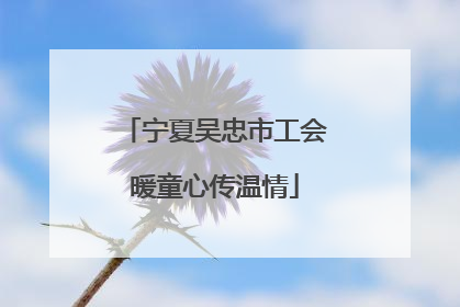 宁夏吴忠市工会暖童心传温情