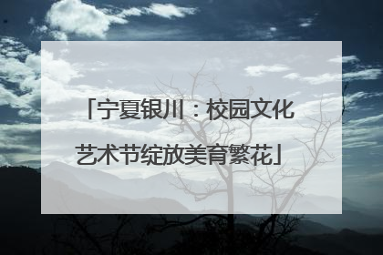 宁夏银川：校园文化艺术节绽放美育繁花