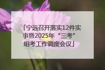 宁远召开落实12件实事暨2025年“三考”组考工作调度会议
