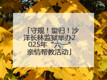 守规！望归！沙洋长林监狱举办2025年“六一”亲情帮教活动
