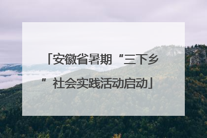 安徽省暑期“三下乡”社会实践活动启动