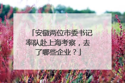 安徽两位市委书记率队赴上海考察，去了哪些企业？