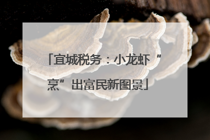 宜城税务：小龙虾“烹”出富民新图景