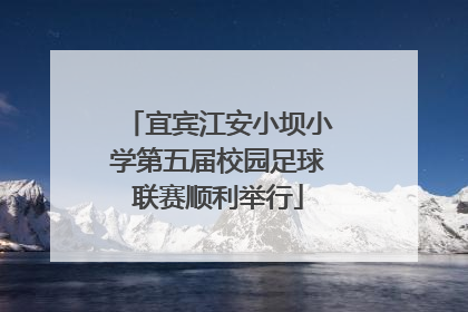宜宾江安小坝小学第五届校园足球联赛顺利举行