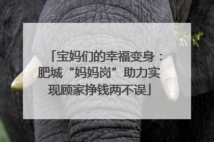宝妈们的幸福变身：肥城“妈妈岗”助力实现顾家挣钱两不误
