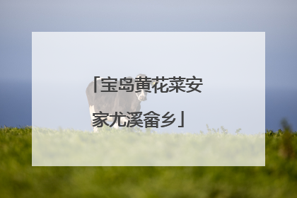宝岛黄花菜安家尤溪畲乡