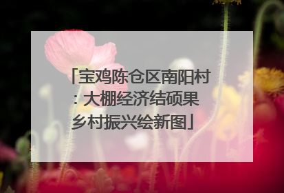 宝鸡陈仓区南阳村：大棚经济结硕果 乡村振兴绘新图