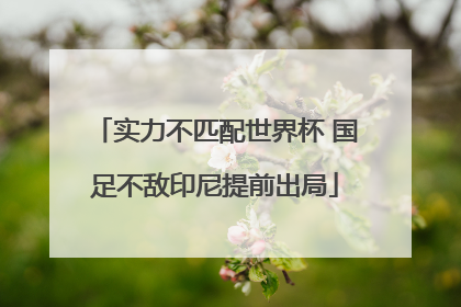 实力不匹配世界杯 国足不敌印尼提前出局