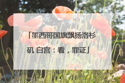 墨西哥国旗飘扬洛杉矶 白宫：看，罪证