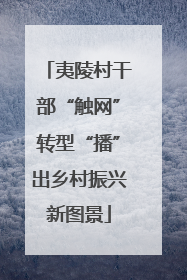 夷陵村干部“触网”转型“播”出乡村振兴新图景