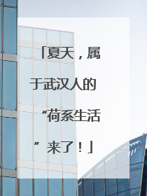 夏天，属于武汉人的“荷系生活”来了！