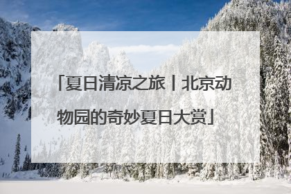 夏日清凉之旅丨北京动物园的奇妙夏日大赏