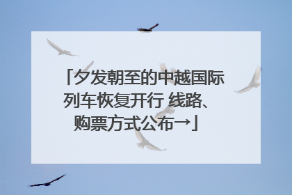 夕发朝至的中越国际列车恢复开行 线路、购票方式公布→