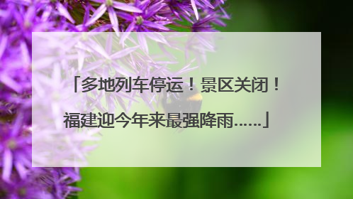 多地列车停运！景区关闭！福建迎今年来最强降雨……