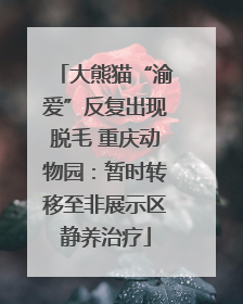 大熊猫“渝爱”反复出现脱毛 重庆动物园：暂时转移至非展示区静养治疗