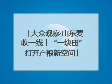 大众观察·山东麦收一线丨“一块田”打开产粮新空间