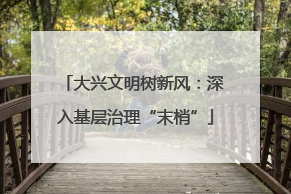 大兴文明树新风：深入基层治理“末梢”