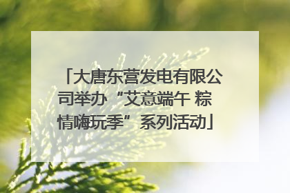 大唐东营发电有限公司举办“艾意端午 粽情嗨玩季”系列活动