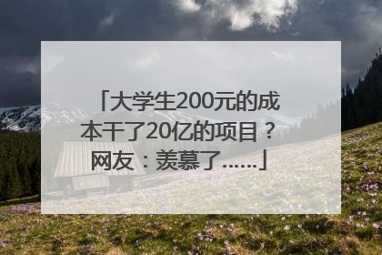 大学生200元的成本干了20亿的项目？网友：羡慕了……