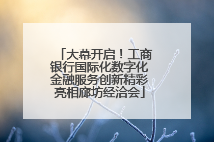 大幕开启！工商银行国际化数字化金融服务创新精彩亮相廊坊经洽会