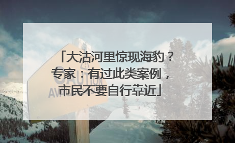 大沽河里惊现海豹？专家：有过此类案例，市民不要自行靠近