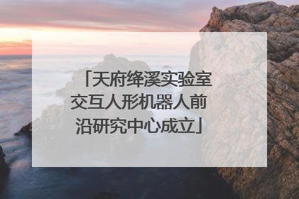天府绛溪实验室交互人形机器人前沿研究中心成立
