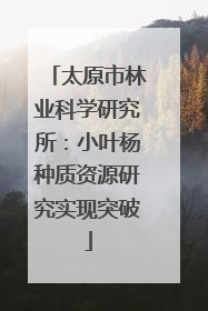 太原市林业科学研究所：小叶杨种质资源研究实现突破