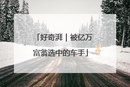 好奇湃｜被亿万富翁选中的车手