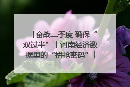 奋战二季度 确保“双过半”丨河南经济数据里的“拼抢密码”